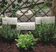 TIMJAN-OREGANO-ROSMARIN